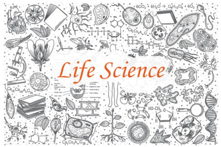 Life Science